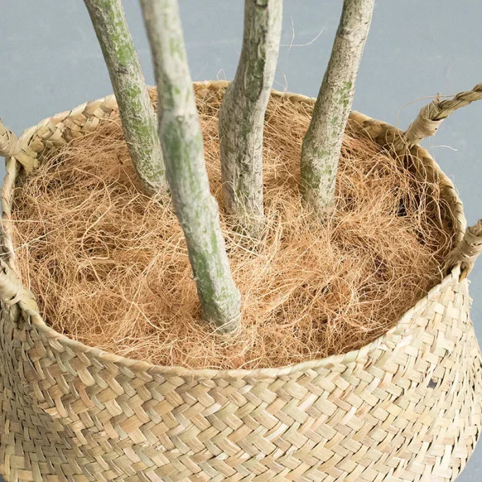 Natural Coconut Husk Fiber Orchids Crafts, Pet Bedding, Insect-Proof, Protect Plants, Maintain Soil Temperature 200g