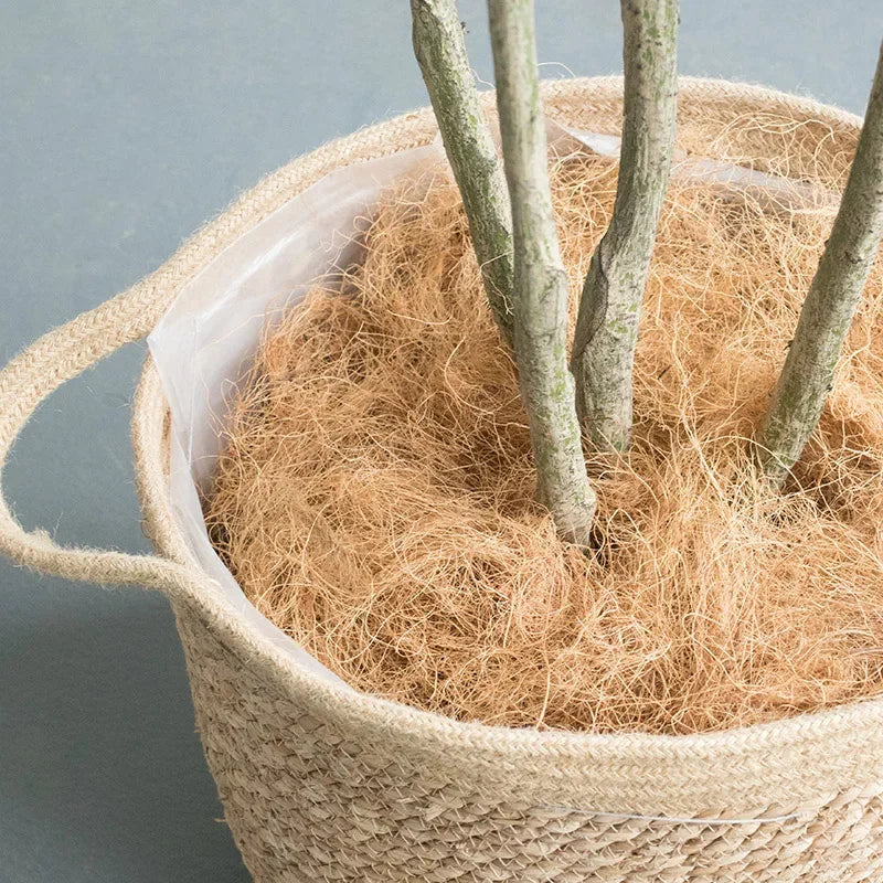 Natural Coconut Husk Fiber Orchids Crafts, Pet Bedding, Insect-Proof, Protect Plants, Maintain Soil Temperature 200g