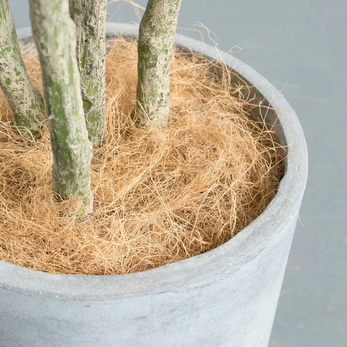 Natural Coconut Husk Fiber Orchids Crafts, Pet Bedding, Insect-Proof, Protect Plants, Maintain Soil Temperature 200g