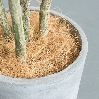 Natural Coconut Husk Fiber Orchids Crafts, Pet Bedding, Insect-Proof, Protect Plants, Maintain Soil Temperature 200g