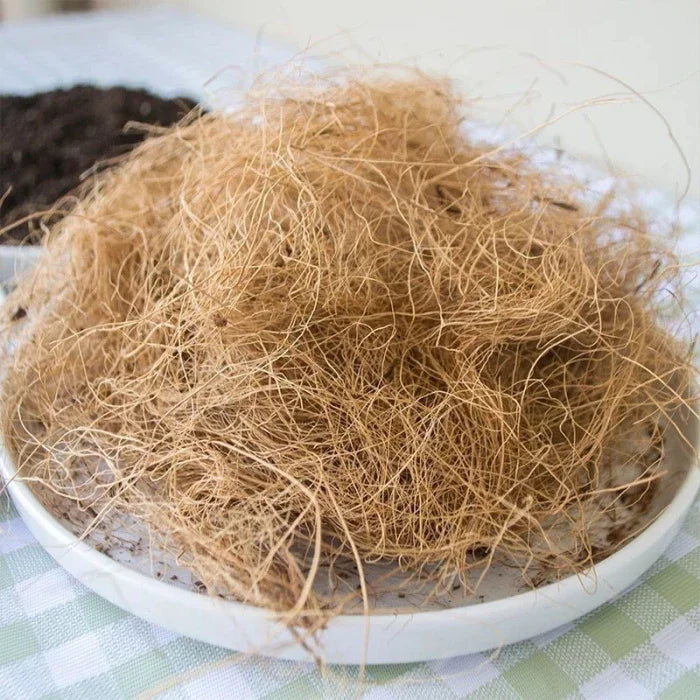Natural Coconut Husk Fiber Orchids Crafts, Pet Bedding, Insect-Proof, Protect Plants, Maintain Soil Temperature 200g
